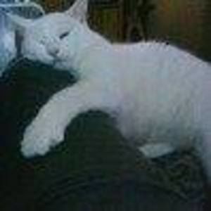 Meet your Posher, Barbara